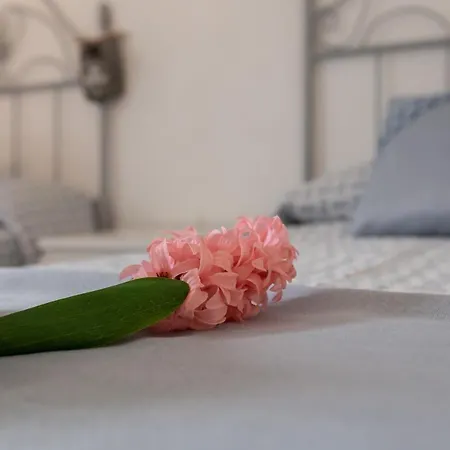 Apartment Bonito Apart A 10 Minutos Playa *